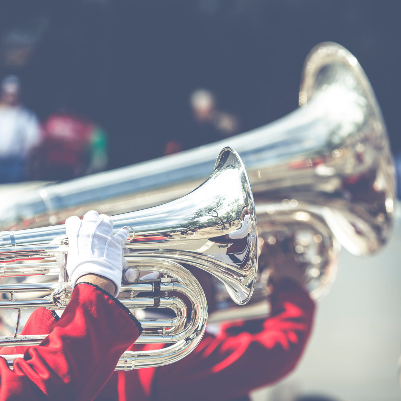 Instrument Accessories
