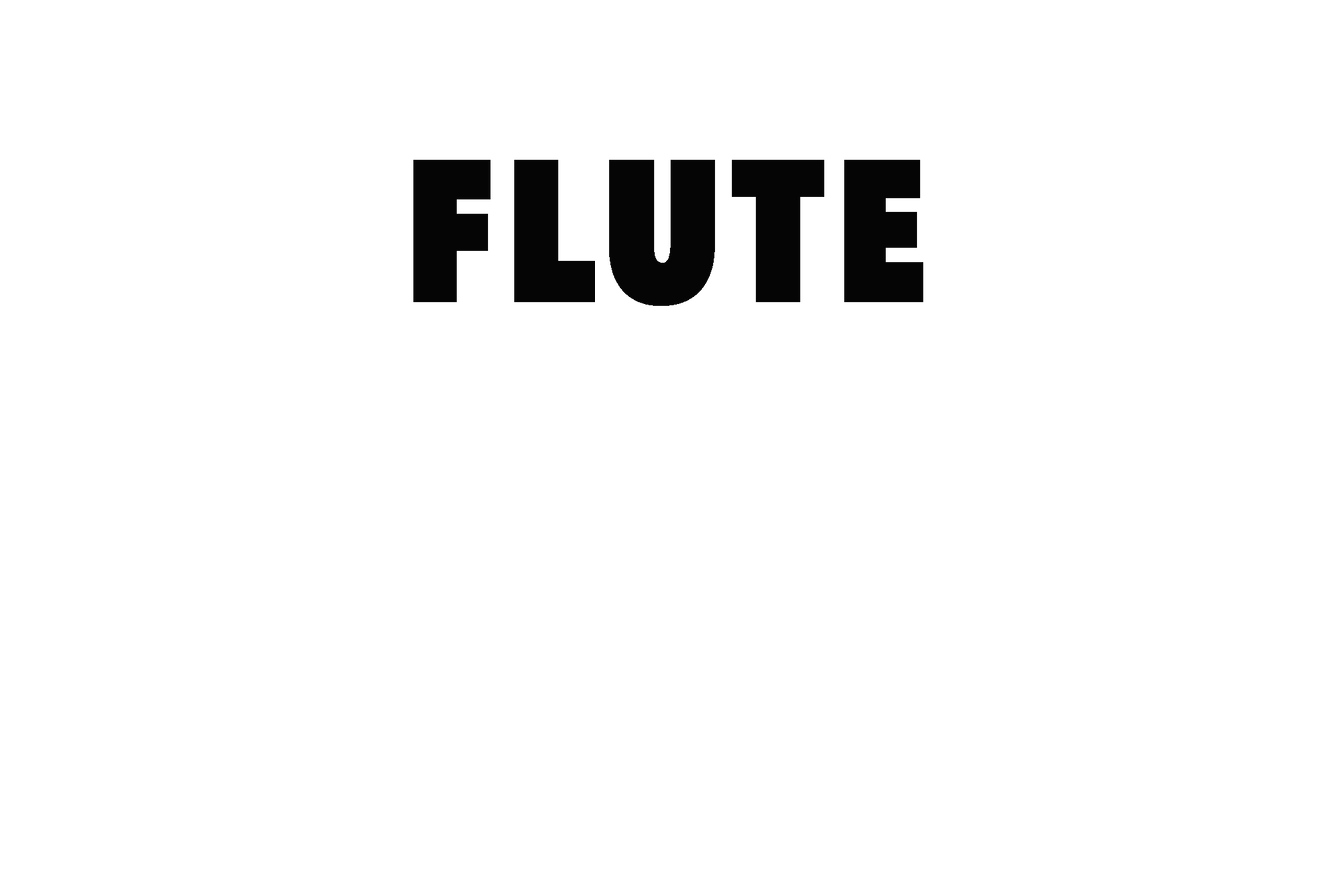 Irons Middle School - Flute