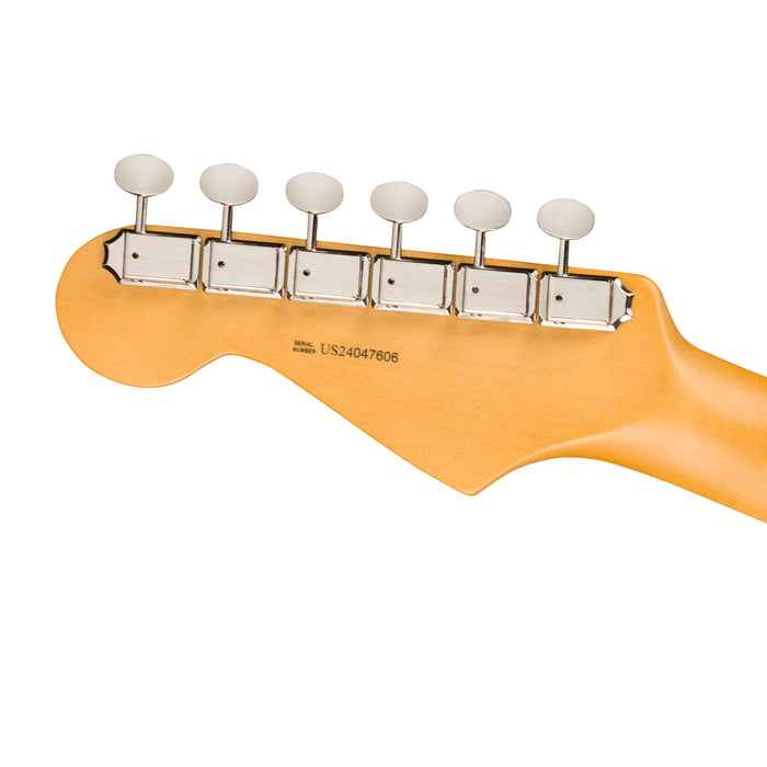 Fender American Professional Classic Stratocaster Electric Guitar - Rosewood - Faded Black