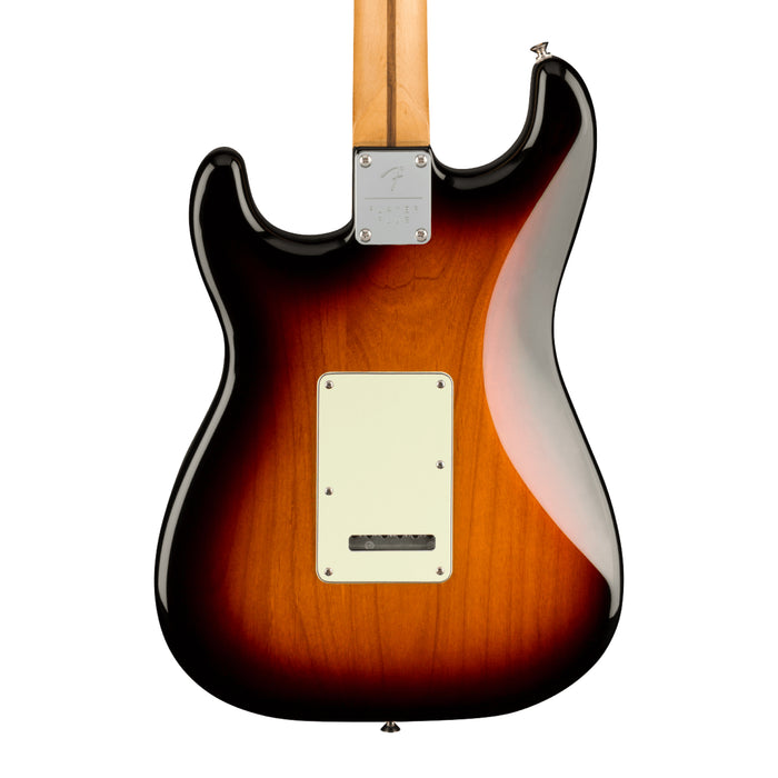 Fender Player Plus Stratocaster - Maple