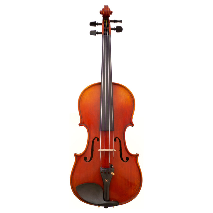 Cuerdas Lone Star LS5100VA Lantana (Viola)